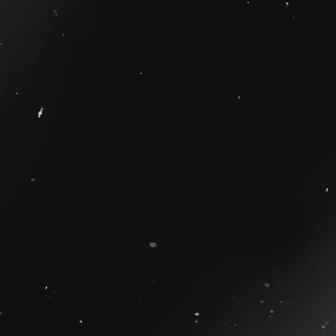 Skin Perfect Elixir Face Serum 30ml